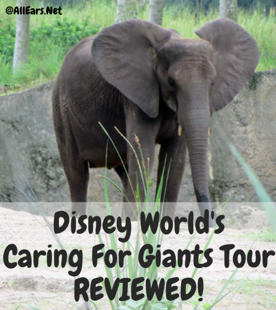 Disney World's Caring For Giants REVIEWED!