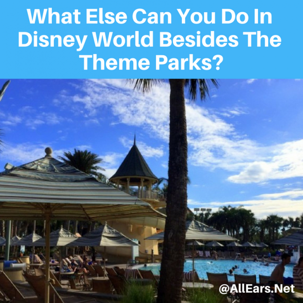 Beyond Disney World Theme Parks