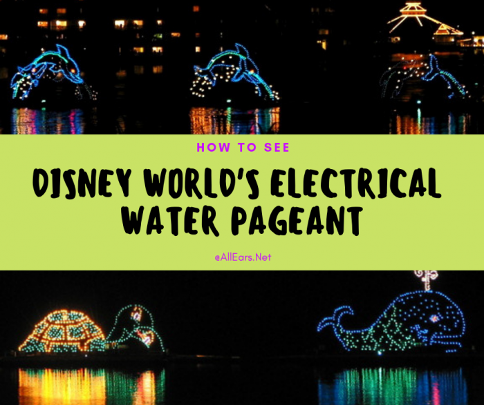 Disney World's Electrical Water Pageant