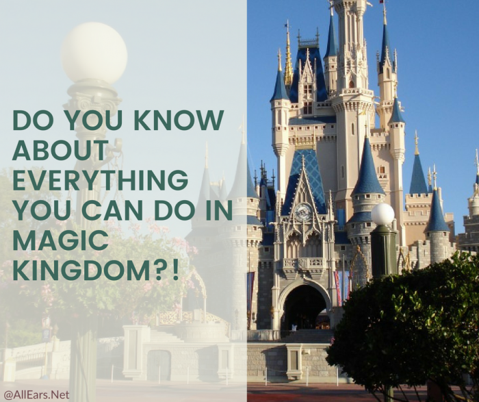 Magic Kingdom Overlooked Attractions