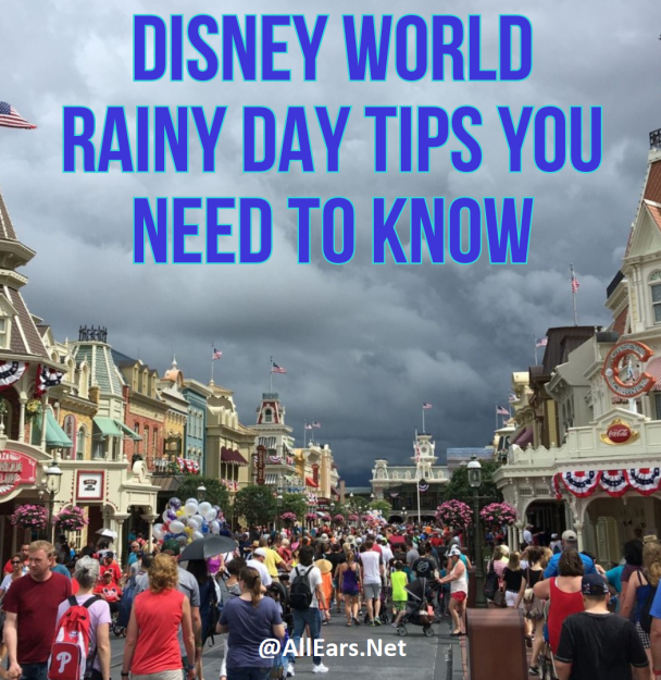 Disney World Rainy Day Tips