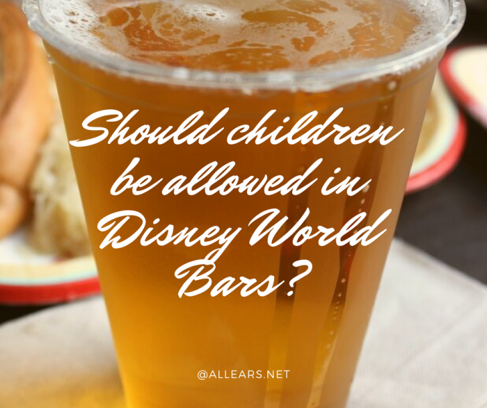 Should children be allowed in Disney World Bars_