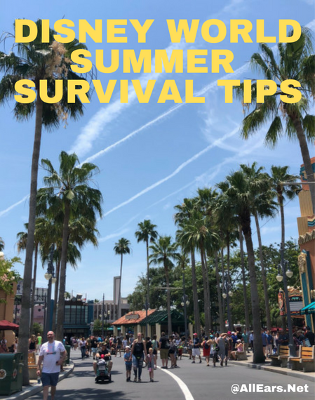 Disney World Summer Survival Tips