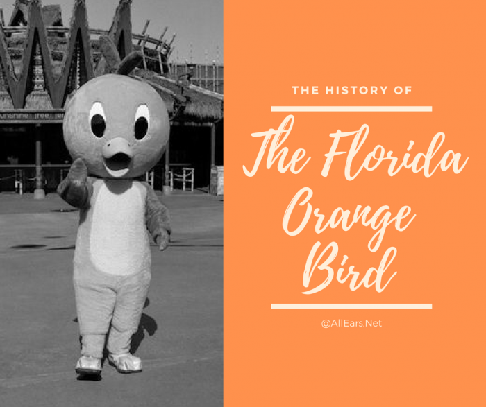 Disney World Florida Orange Bird 