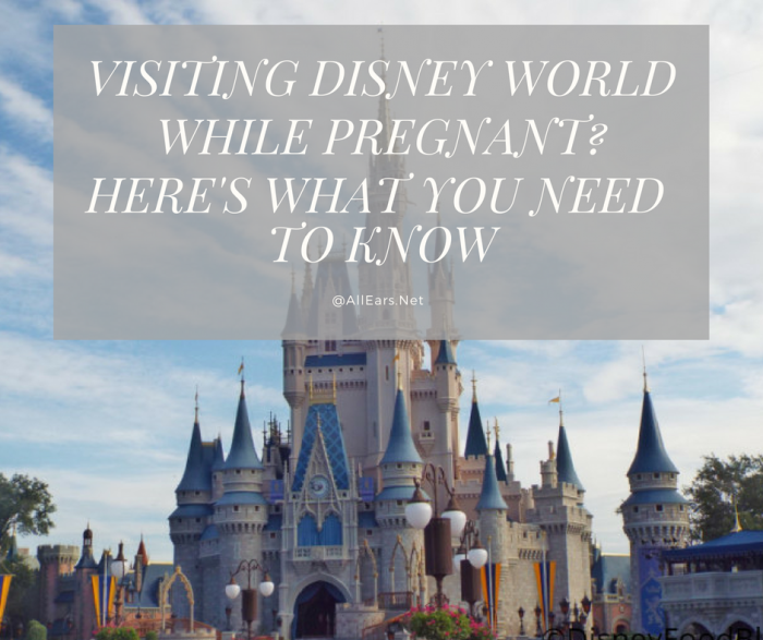 Visiting Disney World While Pregnant