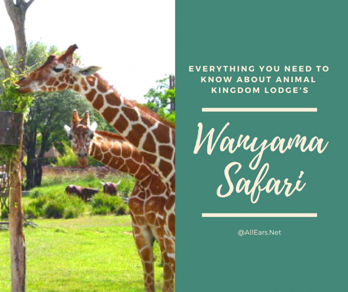 Disney World Wanyama Safari