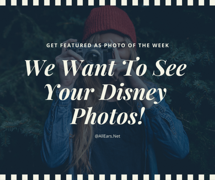 Submit Your Disney Photos