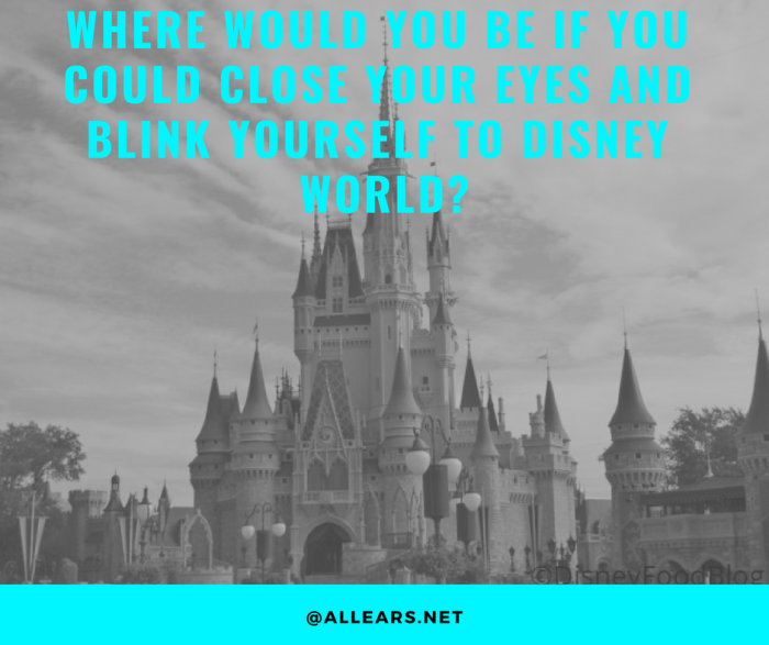Where would you be if you could close your eyes and blink yourself to Disney World_
