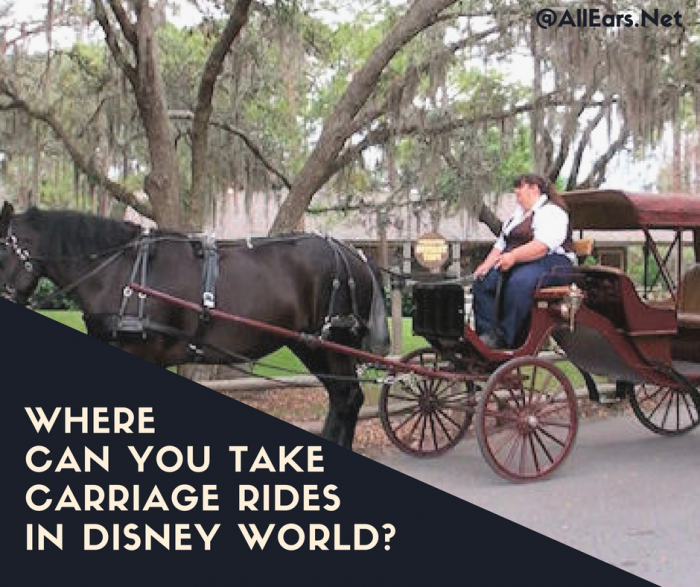 Where you can tak horse-drawn carriage rides in disney world