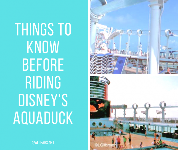 Disney Cruise Aquaduck