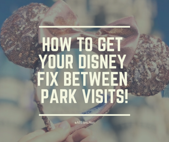 Get Your Disney Fix Between Park Visits