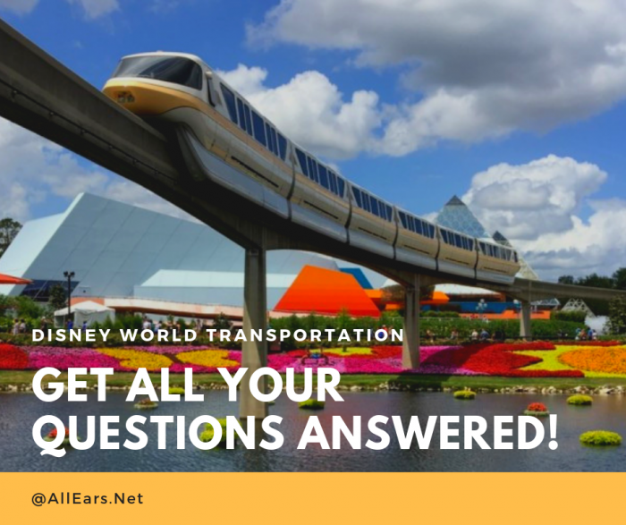 disney world transportation