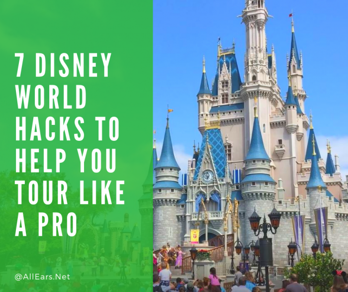 7 Disney World Hacks to Help You Tour Like a Pro!