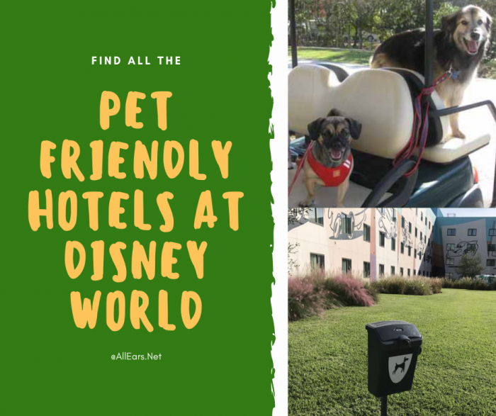 dog friendly hotels christmas 2018