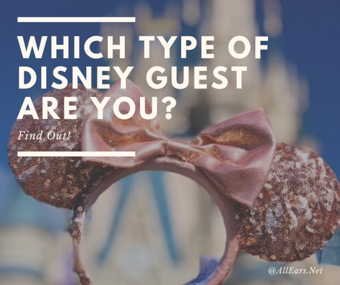Which Type of Disney Guest Are You