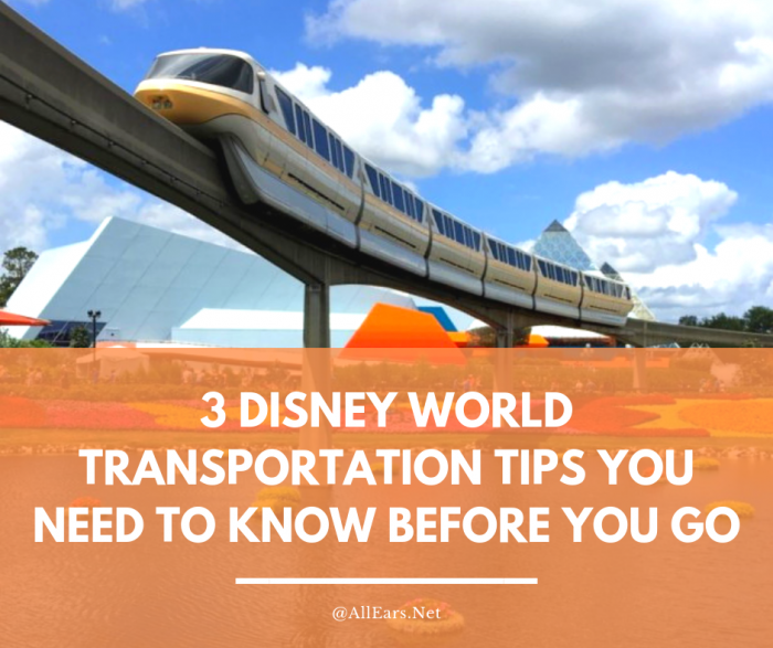 3 Disney World Tips You Need To Know Before You Go
