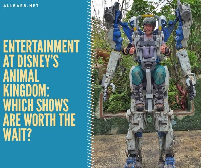 Animal Kingdom Entertainment