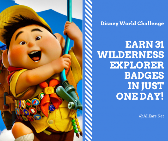 Earn 31 Wilderness Explorer Badges in Just One Day!