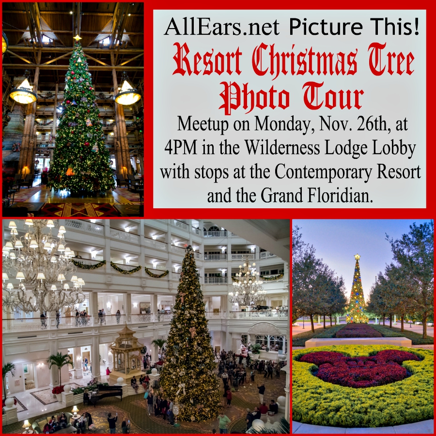 Resort Christmas Tree Photo Tour
