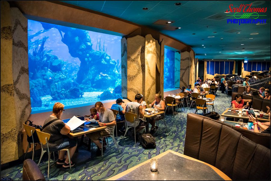 Disney Pic of the Week: Coral Reef Restaurant in Epcot - AllEars.Net