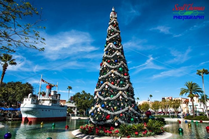 Disney's Hollywood Studios Christmas Tree