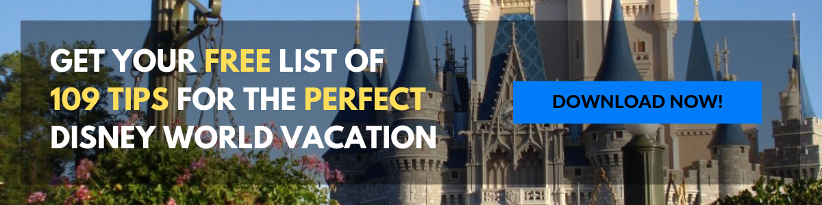 The LEAST Expensive Souvenirs at Walt Disney World 