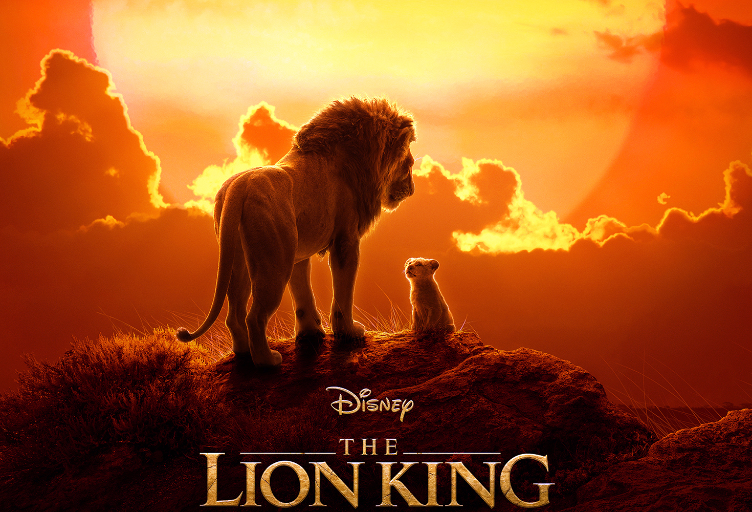 New Trailer and Poster Released for Disney's Live Action "The Lion King - Le Roi Lion Live Action Disney +