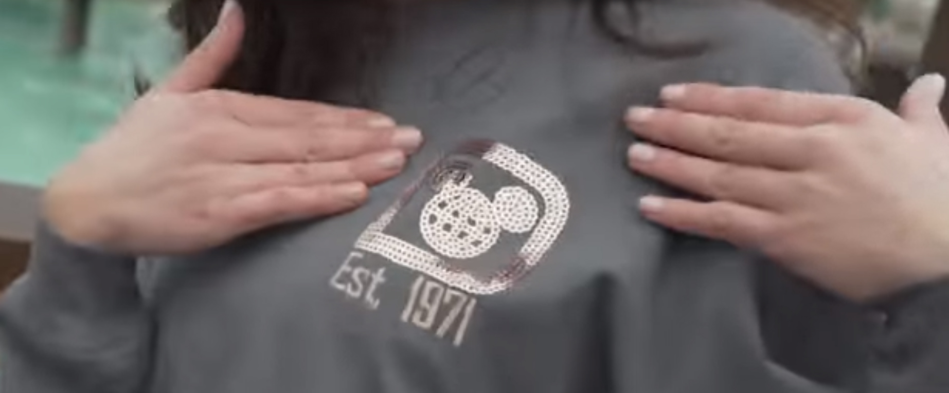 Briar rose gold mickey sweatshirt 2025