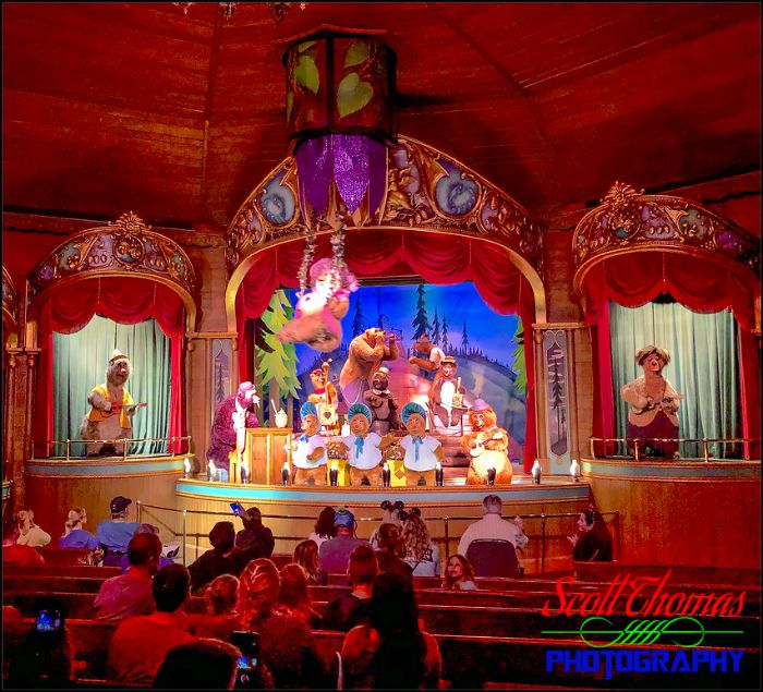 iPhone Country Bear Jamboree