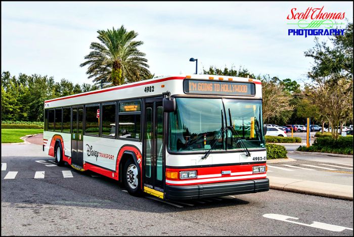 Transportation Bus