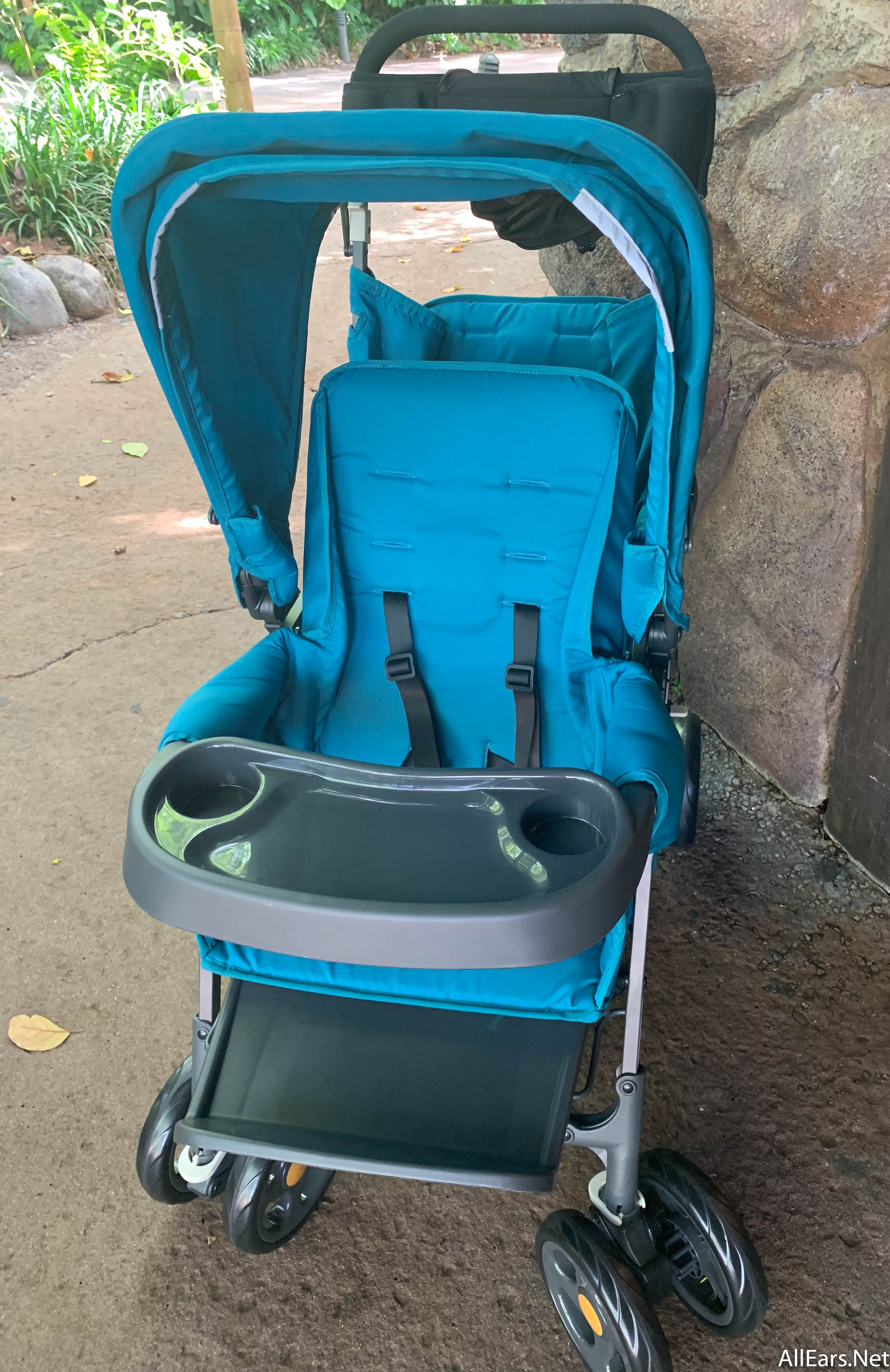 stroller rental at animal kingdom