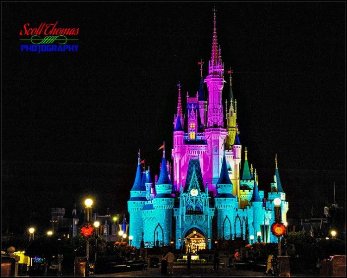 Cinderella Castle at Night