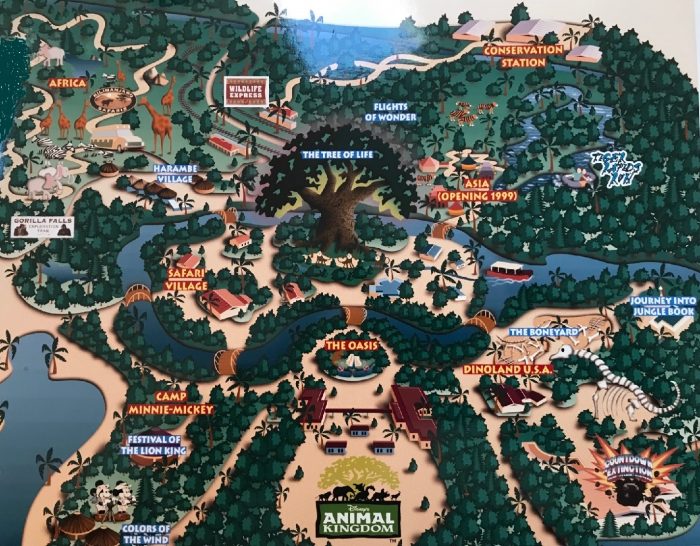 Since Opening in 1998, Animal Kingdom Has Seen Some Wild Changes -  