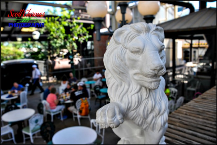 Backlot Express Lion Prop