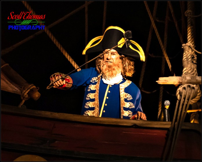 Halloween Pirate
