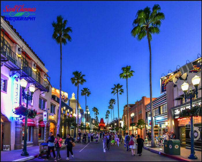 Hollywood Blvd 2016