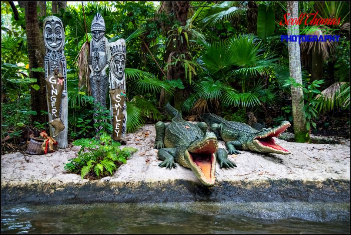 Jungle Cruise Ginger Snap