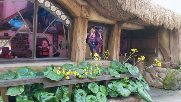Where in the World #609