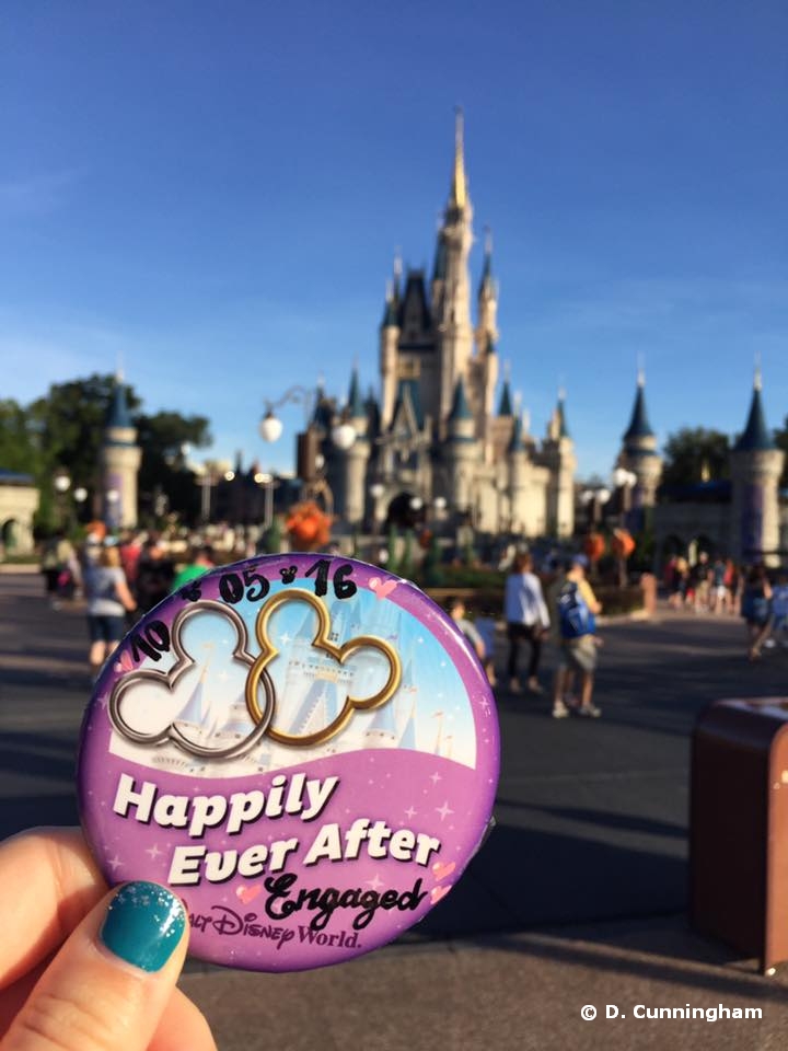 The Best Places to Propose at Disney OTHER THAN the Castles - AllEars.Net