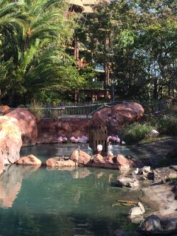 Uzima Pool Animal Kingdom Lodge