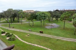 Animal Kingdom Lodge Jambo House Grand Villa