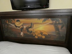 Caribbean Beach - Aruba New Decor