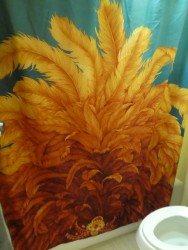 Caribbean Beach - Aruba New Decor