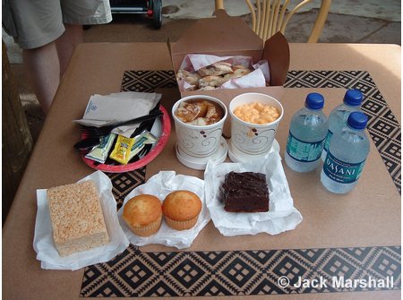 Animal Kingdom Picnic in the Park