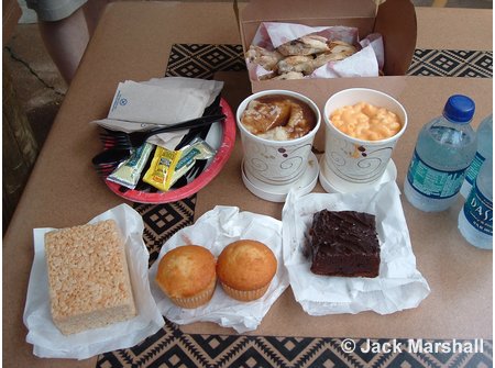 Animal Kingdom Picnic in the Park