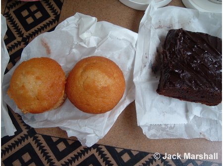 Animal Kingdom Picnic in the Park