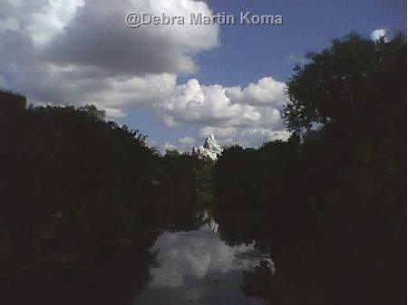  Animal Kingdom! 