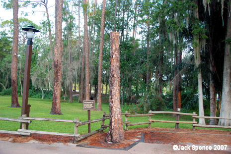 Lawn mowertree at Fort Wilderness