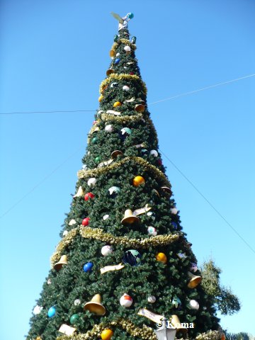 xmas2010_epcot1.jpg