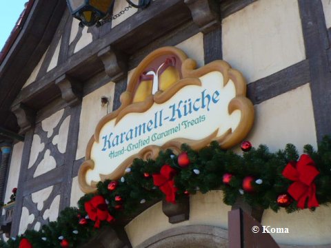xmas2010_epcot2.jpg